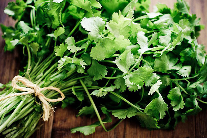 15 نمونه از پرفروش‌ترین سبزی‌ خردکن‌های باکیفیت و ارزان+قیمت روز